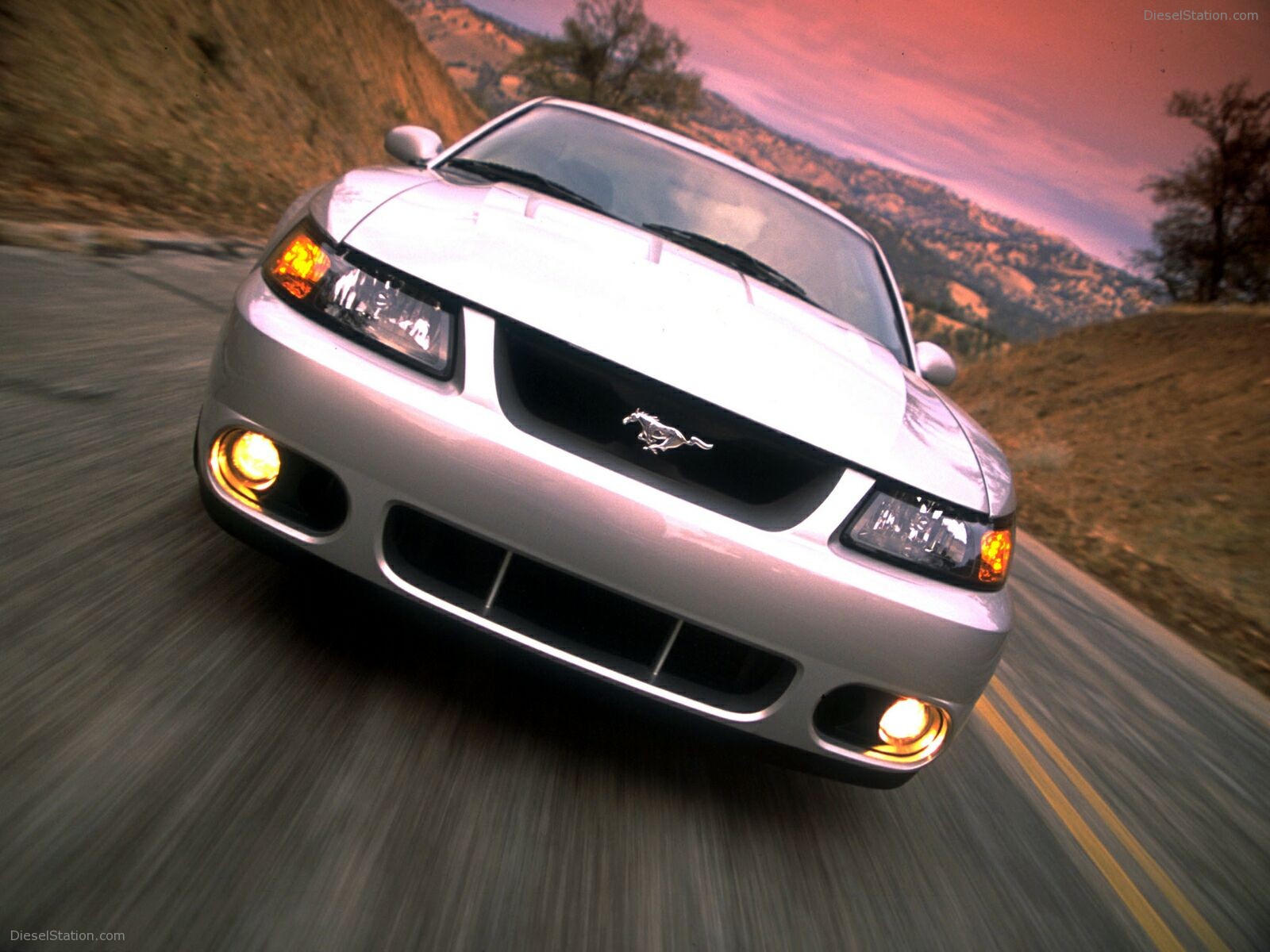 Ford Mustang Cobra (2003)